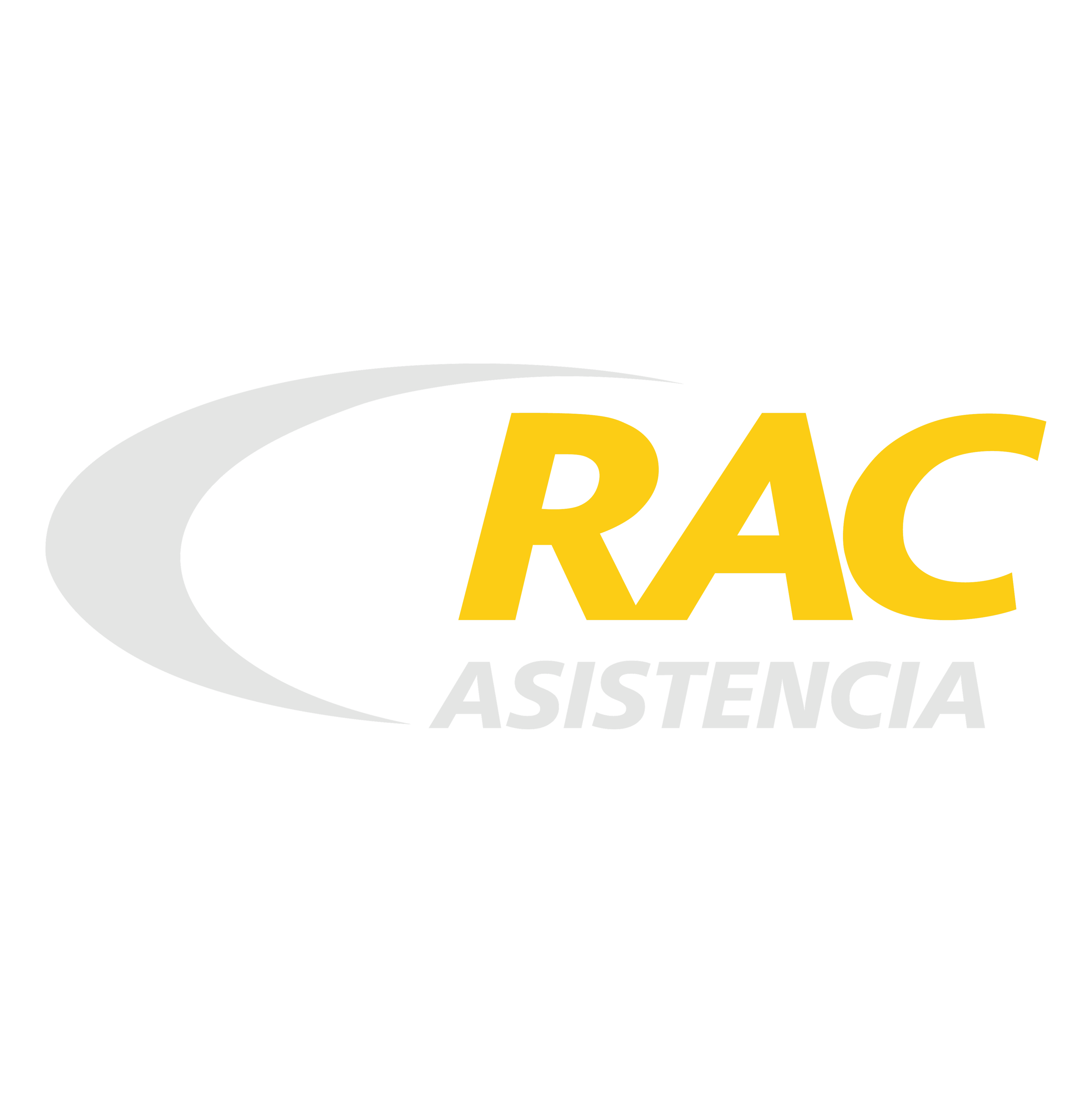 Logo Icon